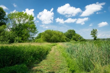 Ptačí park Josefovské louky