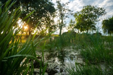 Systém malých tůněk